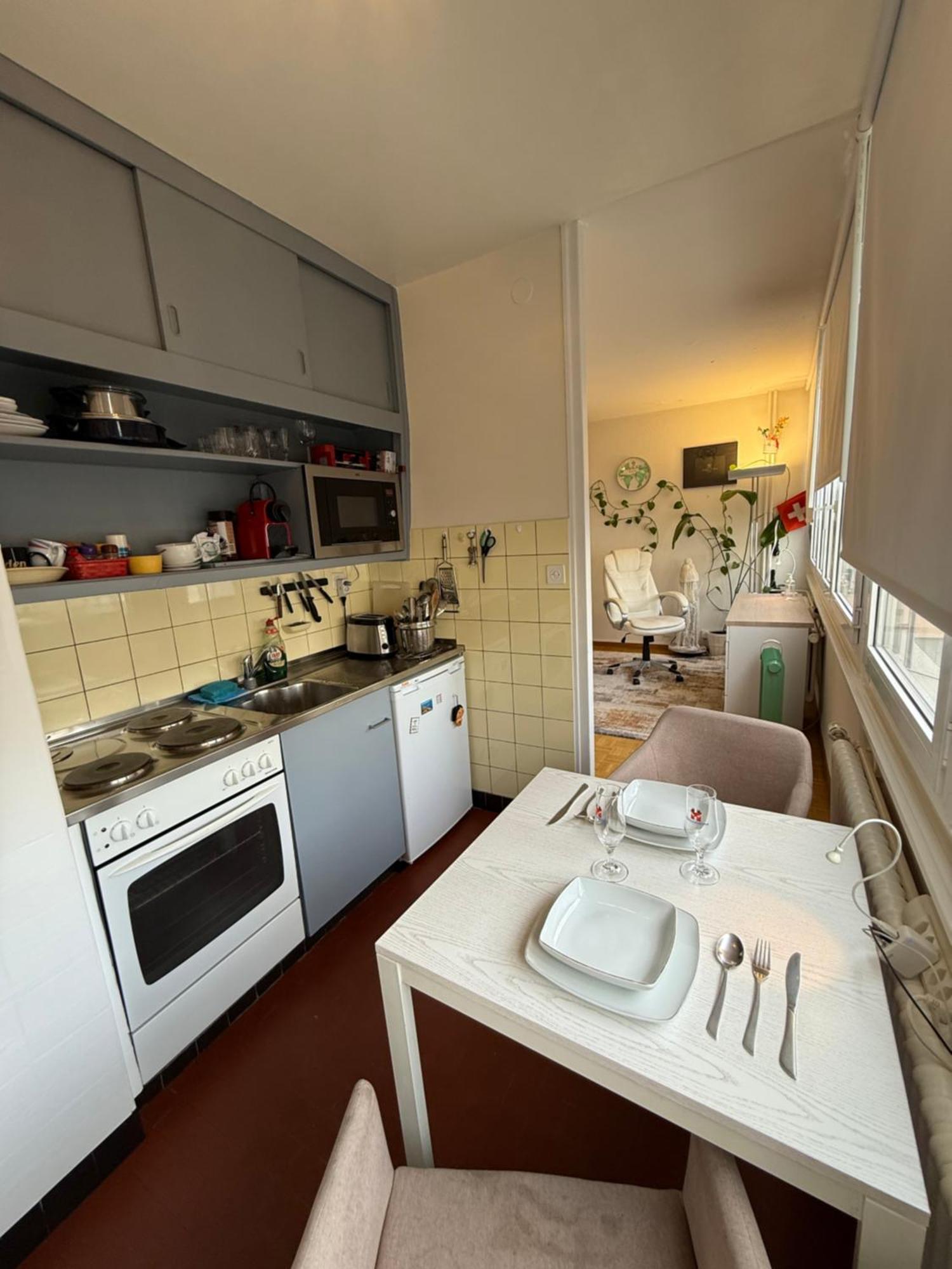 1,5 Apartment Genf