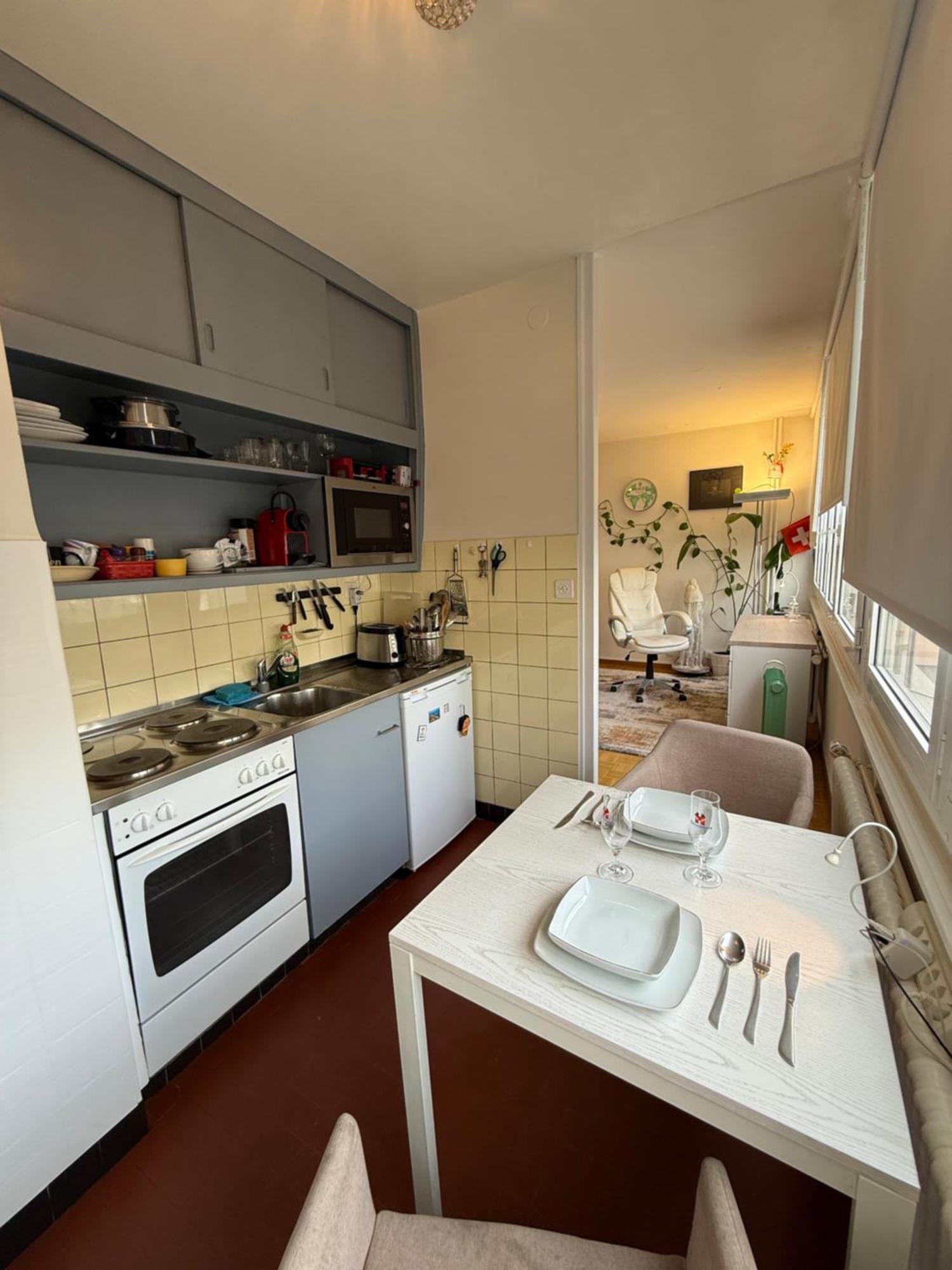 1,5 Apartment Genf