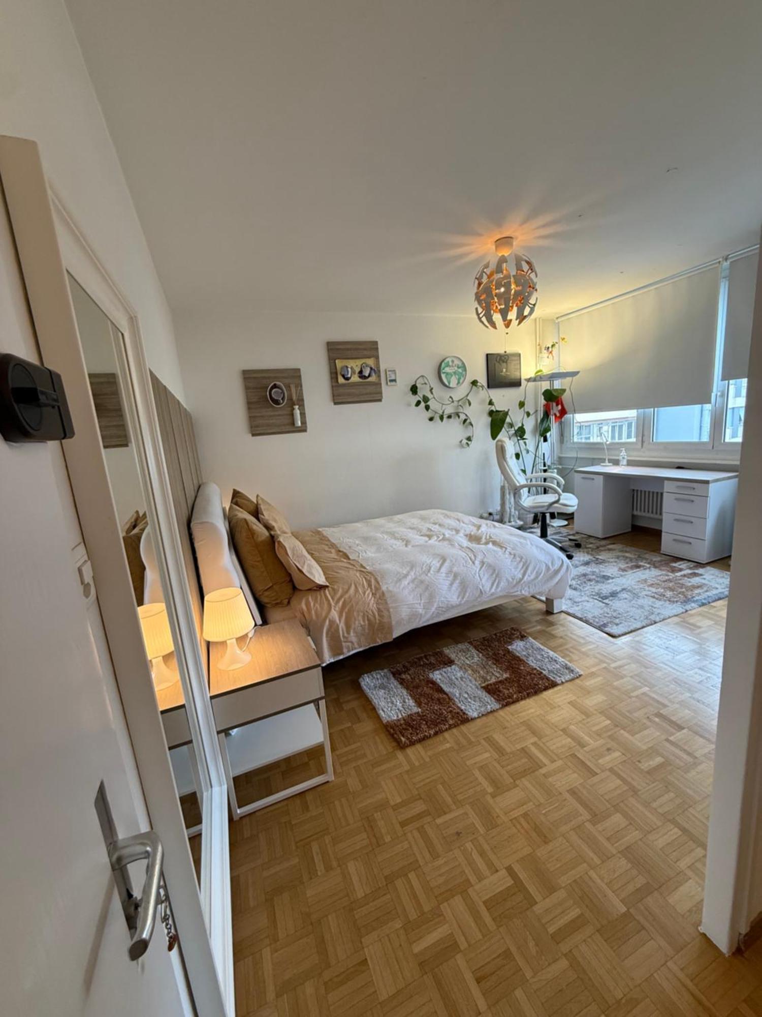 Apartment 1,5 Genf